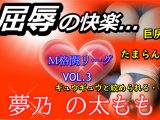 M格闘リーグ VOL.3